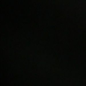 Meet your Posher, Winston